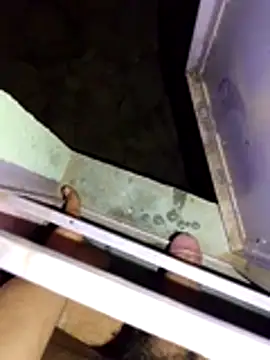 Ayush_pussy_fucker webcam