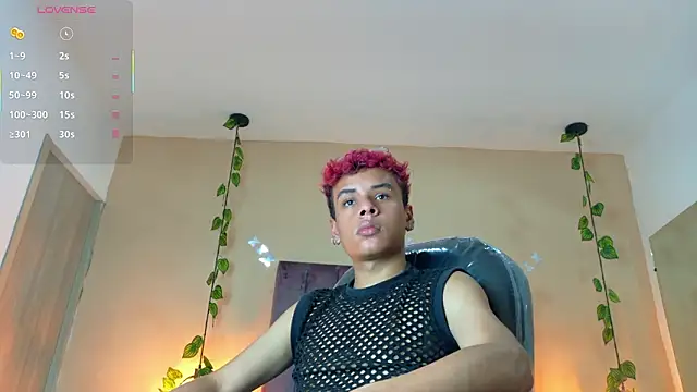 Xavier_Fox___ webcam