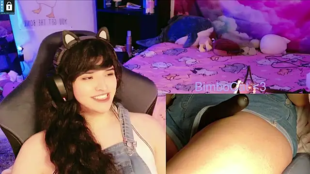 BimboCat webcam