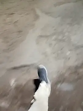 Bengali_BULL1 webcam