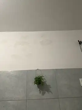 Gabrielleof from StripChat is Freechat