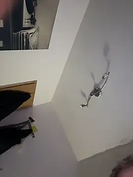 Maximallecken webcam