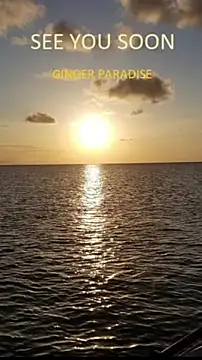 Ginger_Paradise webcam