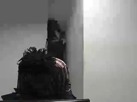 Mastertopdome webcam