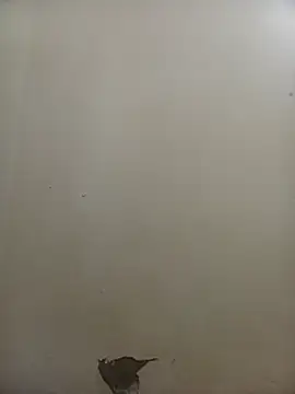 patriciaven - PatriciaVen's free webcam - UK Sex Cams