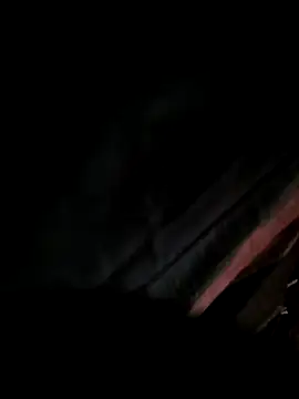 ConvoyedSubgroup webcam