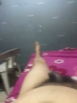 InstantPigweed webcam