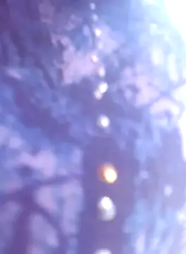 Gudid209896 from StripChat is Private