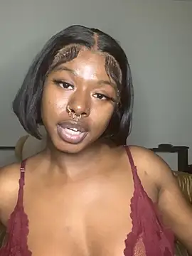 TinyBlazian901 webcam