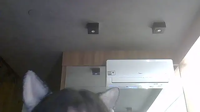 SkinnyKitten webcam