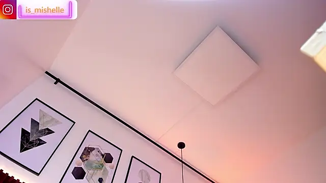 _mishelle webcam