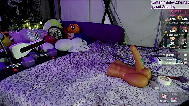 marleymaxwell webcam