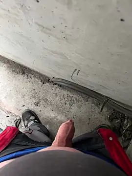 Preview of lescoquin2215