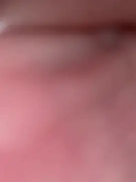 Anjinhavagabunda webcam