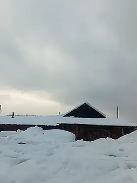 _uncle_Mitya-43_ webcam