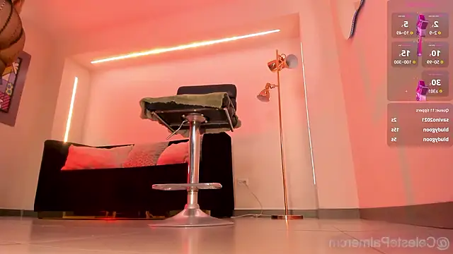 CelestePalmer_ webcam