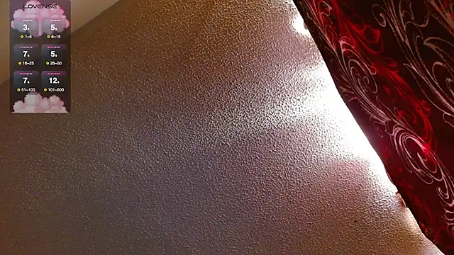 Hgp3riodictabl3 webcam