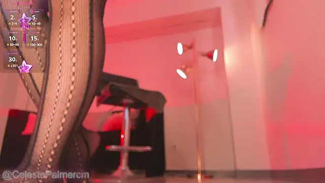 CelestePalmer_ webcam