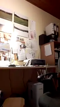 Preview of einhorn527