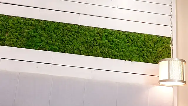 IsabellaMysty webcam