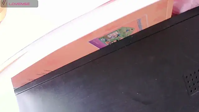 ashleey_palmer webcam