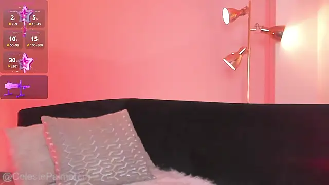 CelestePalmer_ webcam