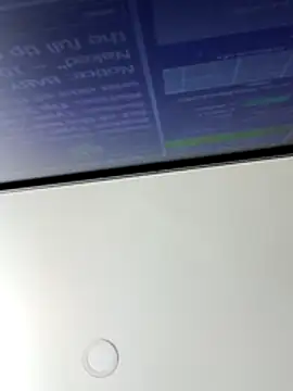 playfullpaulina webcam