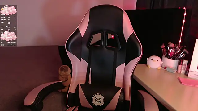 Theprojectsaraa webcam