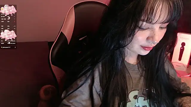 Theprojectsaraa webcam