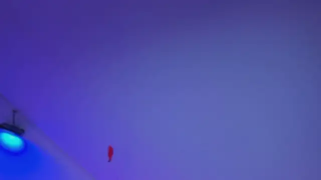 yourlittle_kathe webcam