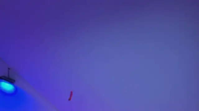 yourlittle_kathe webcam