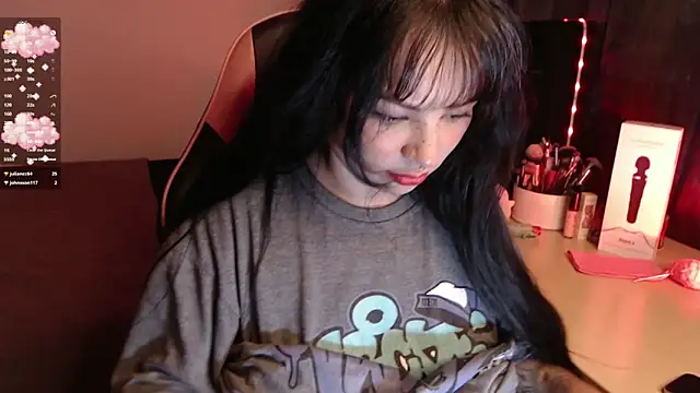 Theprojectsaraa webcam