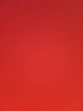 FatalAllure_Trio webcam