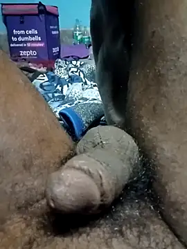 Bengali_BULL1 webcam