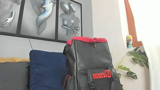 camillo_virgil webcam