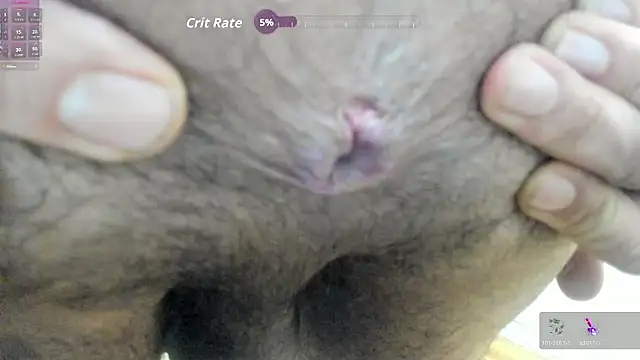 bear_russian_hunk webcam