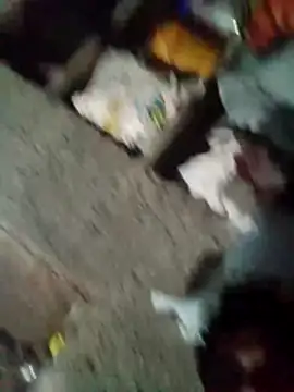 Lucky_couple-1 webcam