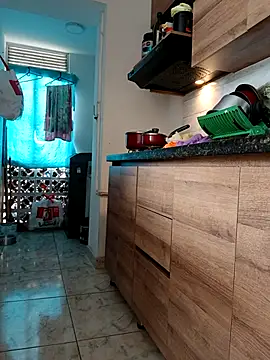 LEIRIS_Y_FRED_01 webcam