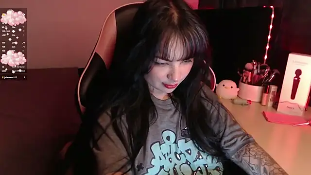 Theprojectsaraa webcam