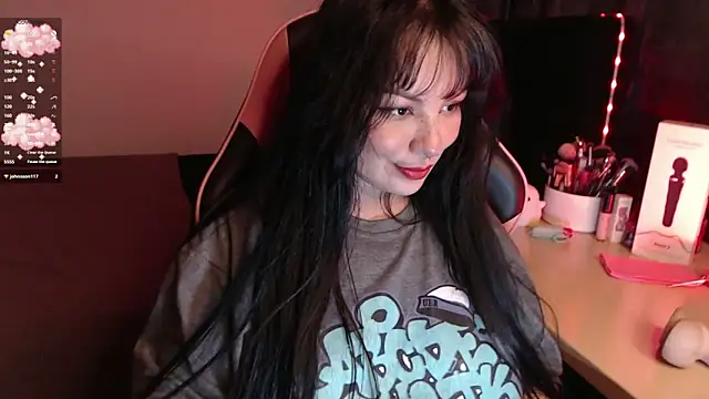 Theprojectsaraa webcam