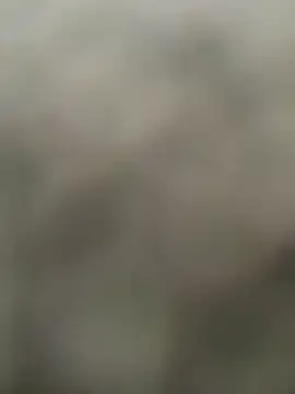 butterflybootyy webcam