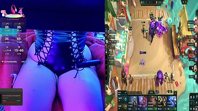 baileymonarch webcam