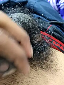 _Stripchat_Owner_ webcam