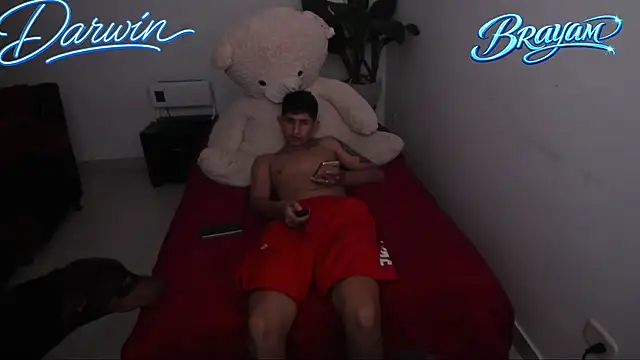 darwinandbrayann webcam