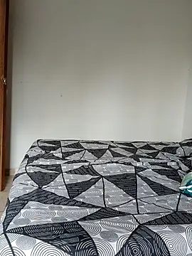 LEIRIS_Y_FRED_01 webcam