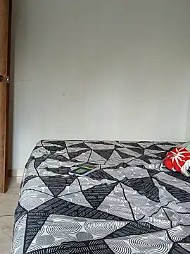 LEIRIS_Y_FRED_01 webcam