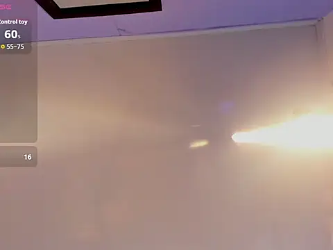 Sang_woo_Lee_ webcam