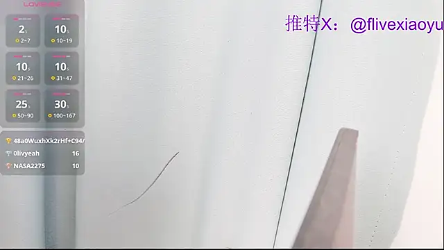 Flive-xiaoyu webcam