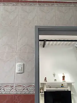 La-Gatiita-trans webcam