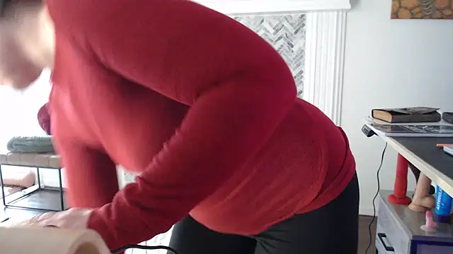 AuroraWillows webcam